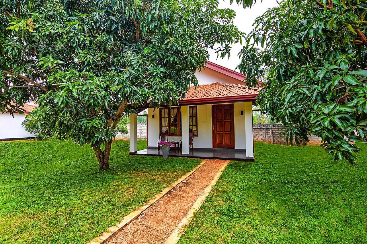 Dambulla Hills Resort Esterno foto