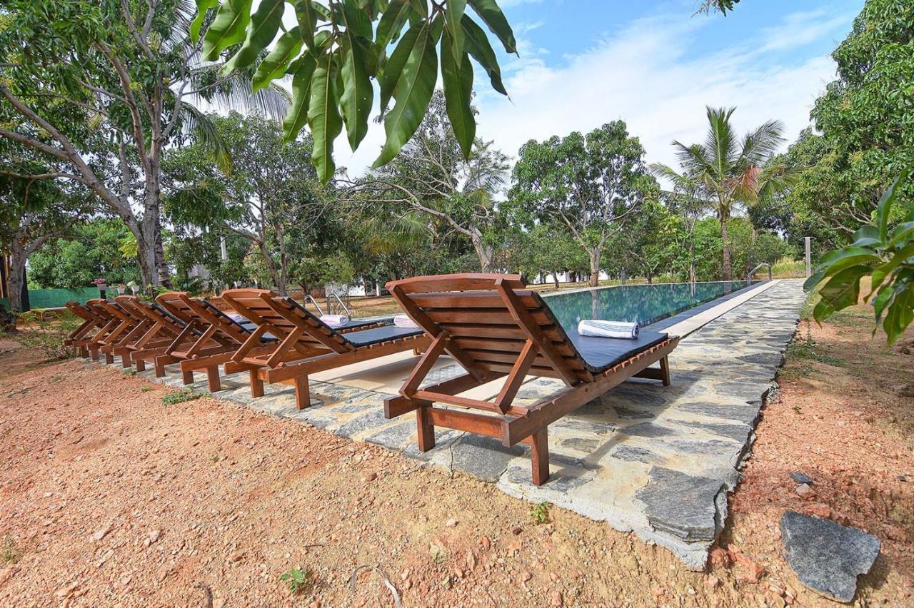 Dambulla Hills Resort Esterno foto